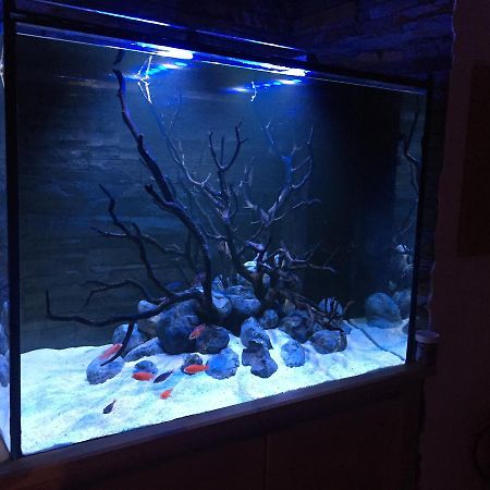 شقة Aquarium House سيسيمبرا المظهر الخارجي الصورة