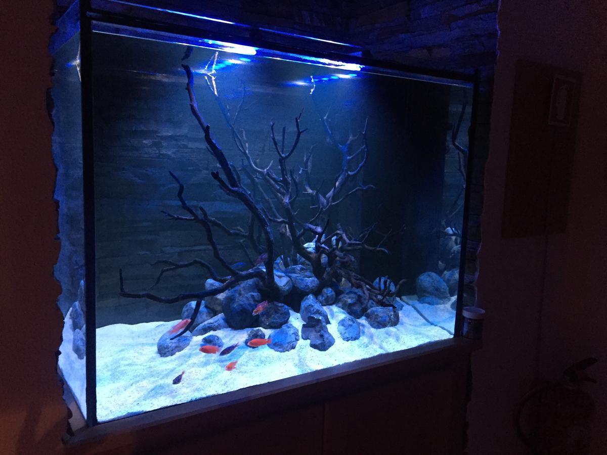 شقة Aquarium House سيسيمبرا المظهر الخارجي الصورة
